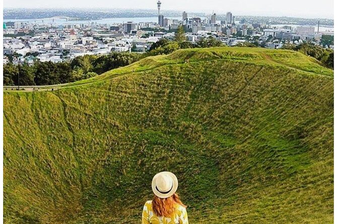 Private Piha Beach, Rainforest Adventure & Mt. Eden with Guide - Price and Value: Is $279 Per Person Worth It?