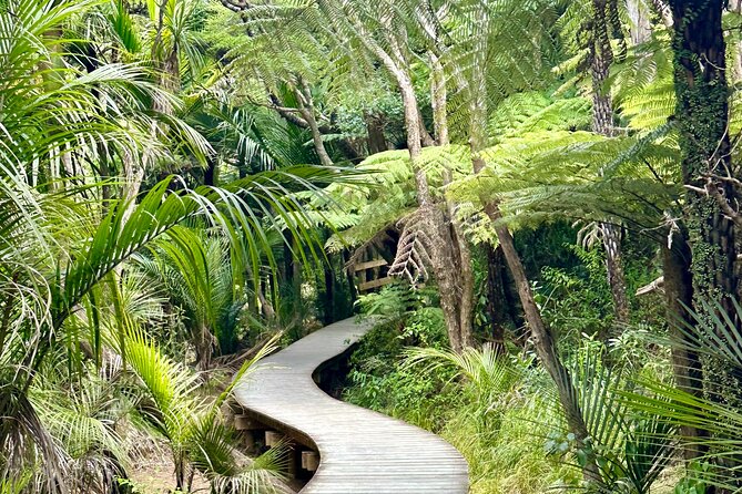 Private Piha Beach, Rainforest Adventure & Mt. Eden with Guide - Mercer Bay Loop: Clifftop Coastal Views with Real Walking