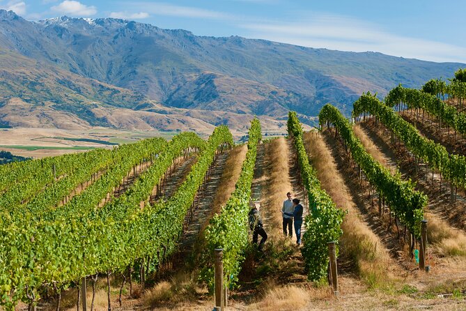 Private Queenstown Wine Tour All-Inclusive Tour - What private really means here, and how you can use it