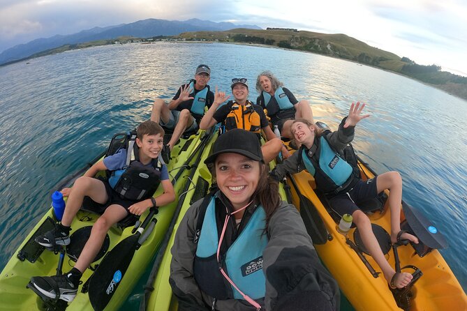 Private Seal Kayaking and Wildlife Tour in Kaikoura - Stop 1: Peninsula Seal Colony, the Sea-Only Viewing Angle