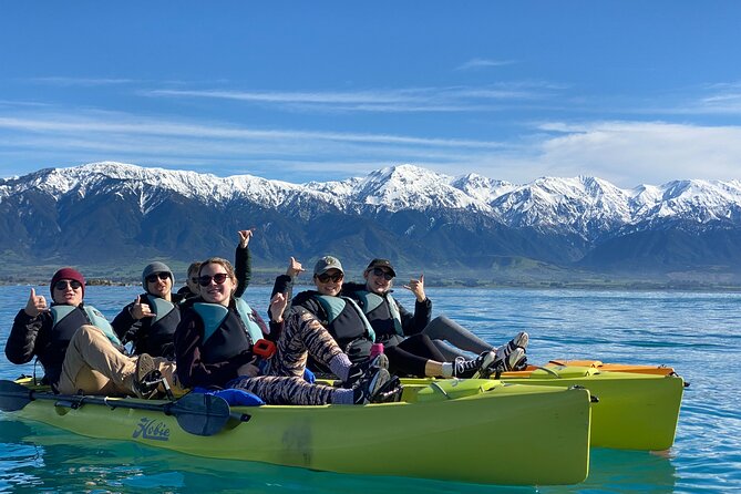 Private Seal Kayaking and Wildlife Tour in Kaikoura - Price and Timing: Is $83.78 Worth It?