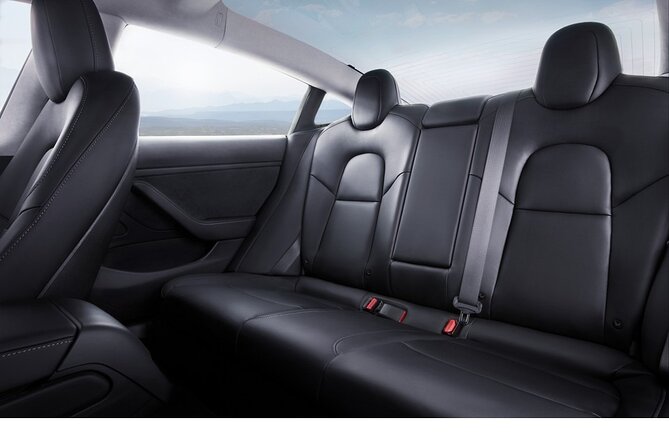 Private Tesla Transfer: Auckland, Tauranga, Rotorua, Taupo - The driver experience, with Silva and real timing help