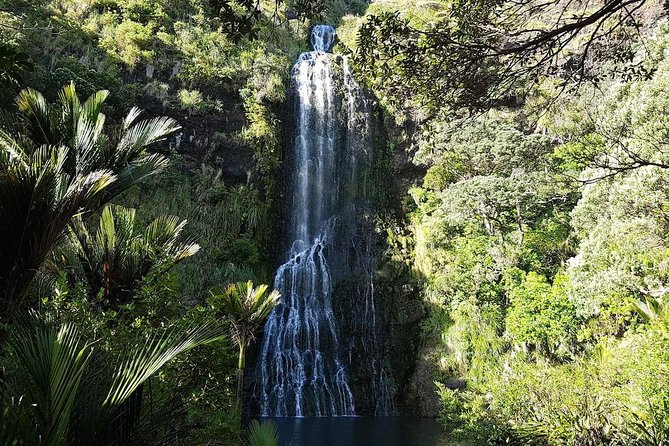Private Tour: Auckland City and Countryside Tour - Mission Bay and the coast break from city driving