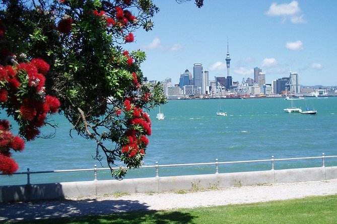Private Tour: Auckland City and Countryside Tour - Rainforest, sand beaches, and a waterfall stop