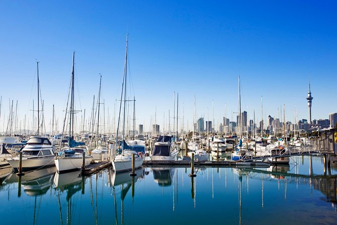 Private Tour: Auckland City and Countryside Tour - Logistics that can affect your day: routing, roadworks, and timing