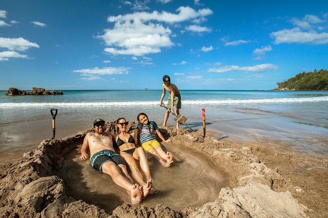 Private Tour - Coromandel Beach, Caves & Forest - From Auckland to the Coromandel: why this day needs a morning start