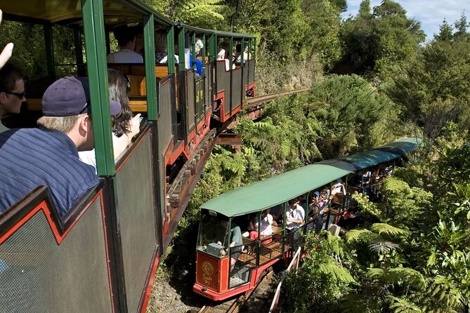 Private Tour - Coromandel Beach, Caves & Forest - Cathedral Cove boat cruise: sea caves, islands, and a film tie-in