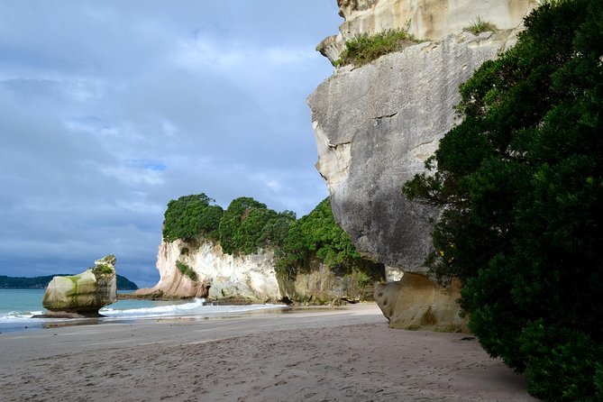 Private Tour - Coromandel Beach, Caves & Forest - Price and what $589.54 per person buys you