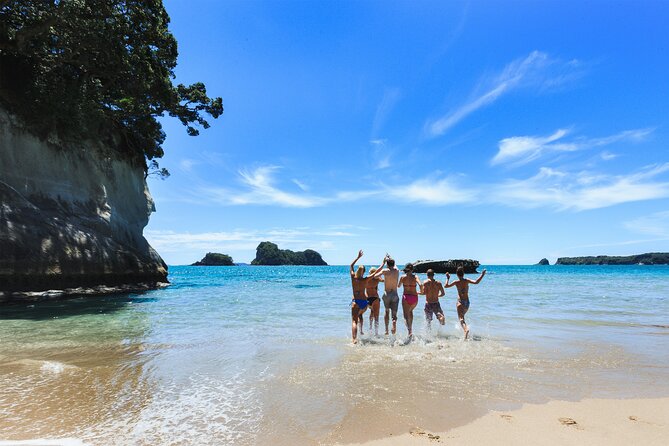 Private Tour - Coromandel Beach, Caves & Forest - Who should book this Coromandel Coast private tour
