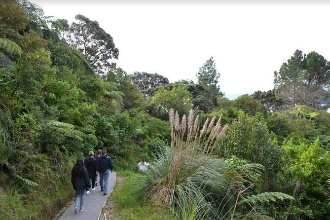 Private Tour - Coromandel Beach, Caves & Forest - A few smart planning moves before you commit