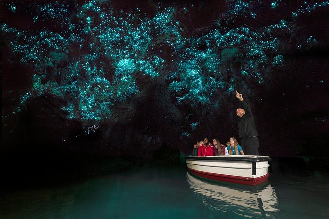 Private tour from Auckland - Waitomo Glowworm Caves, Zealong Tea & Kiwi Bird - Otorohanga Kiwi House: Kiwi, Tuatara, and Native Wildlife Up Close