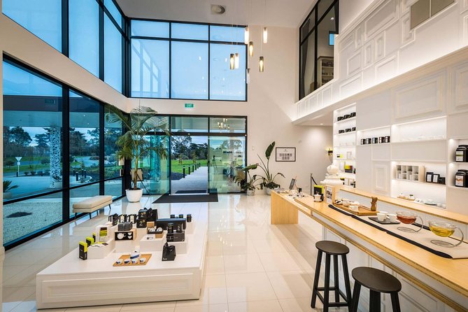 Private tour from Auckland - Waitomo Glowworm Caves, Zealong Tea & Kiwi Bird - Meals and Included Treats: Lunch, Snacks, and Tea Tasting