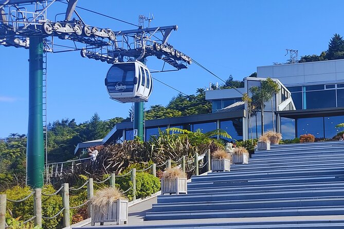 Private Tour: Hobbiton Movie Set, Rotorua Mud Pool & Treewalk - Price and Value: Is $1,299 Per Person Actually Fair?