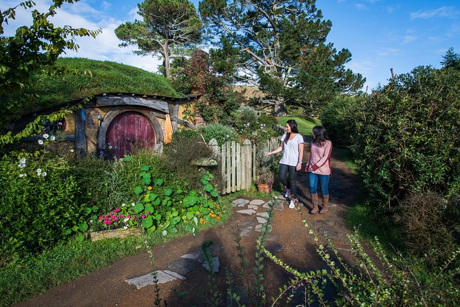 Private Tour - Hobbiton Movie Set & Te Puia (Rotorua) - Te Puia Geothermal Valley: geysers, mud pools, and Kiwi spotting