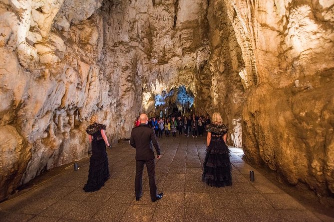 Private Tour: Hobbiton & Waitomo Glowworm Cave Experience - Hobbiton Movie Set: a guided walk through real Middle-earth details