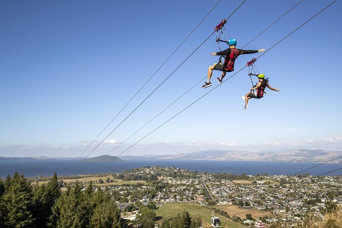 Private Tour - Rotorua Adventures Day Trip From Auckland - Agrodome Kiwi Farm: baby-animal time without the scramble
