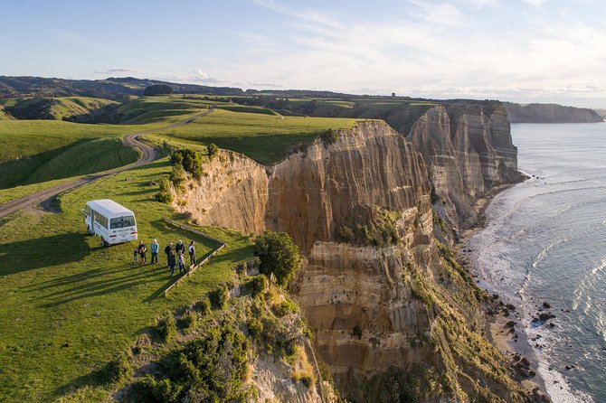 Private tour to Cape Kidnappers Gannet Colony - Getting to Cape Kidnappers from Te Awanga, and why timing feels right