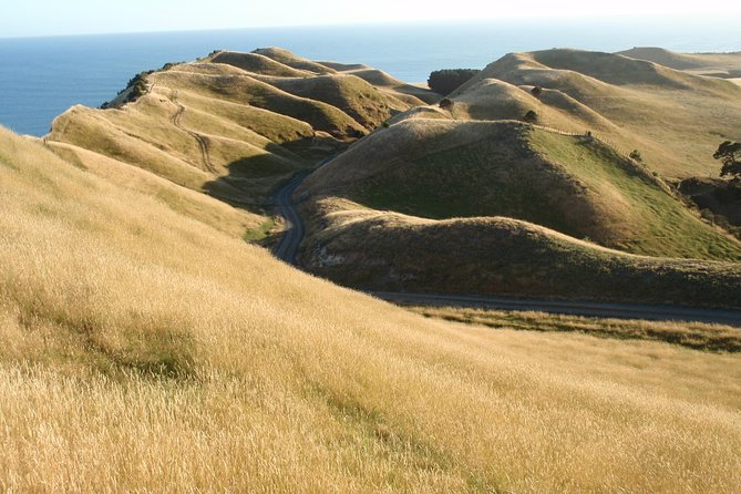 Private tour to Cape Kidnappers Gannet Colony - Practical tips so your day goes smoothly