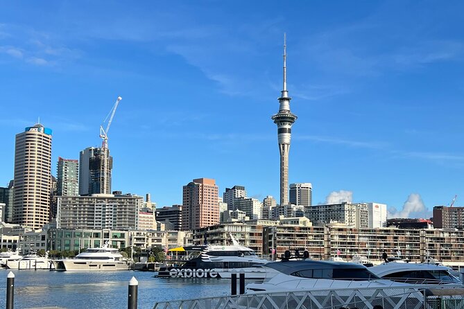 Private Transfer From Auckland City To Auckland Airport - Door-to-terminal peace of mind from Auckland CBD
