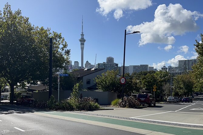 Private Transfer From Auckland City To Auckland Airport - Who this is best for (and who might prefer something else)