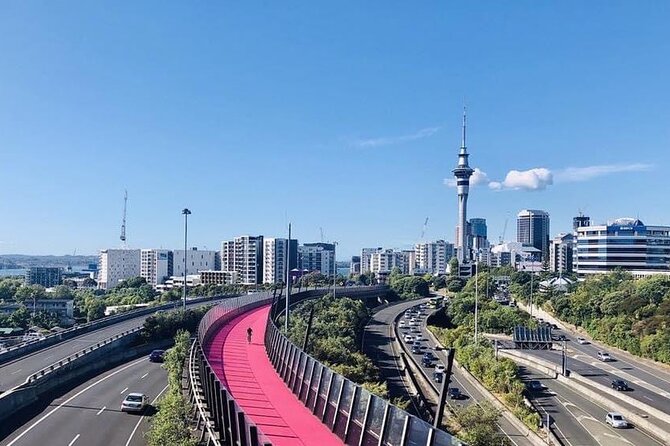 Private Transfer From Auckland International Airport To Auckland City - Key Highlights That Matter on Arrival