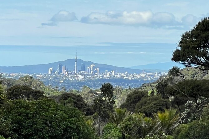 Private Transfer From Auckland International Airport To Auckland City - The Ride to Auckland Central: Comfort First, Traffic Second