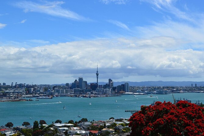 Private Transfer From Auckland International Airport To Auckland City - Price and Value for Up to 5 People
