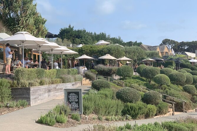Private Waiheke Food & Wine Tour - Getting there smoothly: Oneroa meeting point and ferry reality