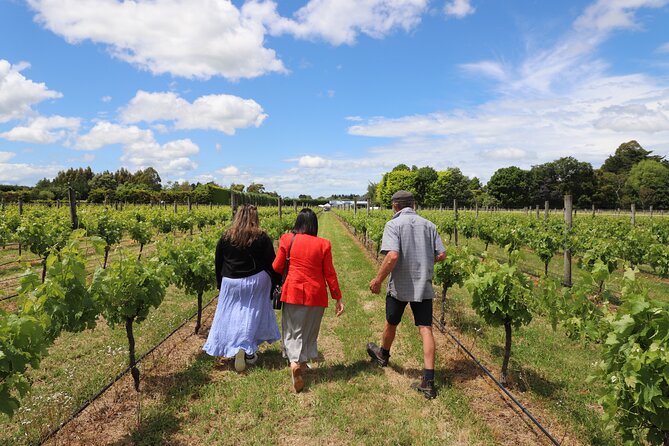 Private Wairarapa Wine Delights Tour from Wellington - Wellington to Martinborough without the stress