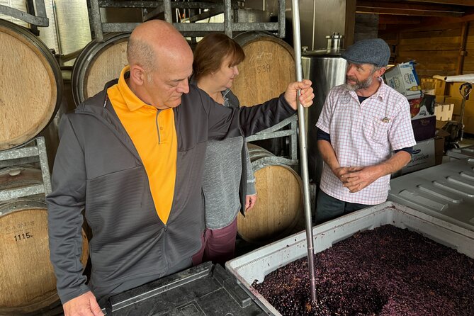 Private Wairarapa Wine Delights Tour from Wellington - Private tour, customizable day, and who this fits best
