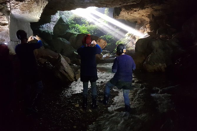 Private Waitomo Glowworm Cave Tours - A Private Waitomo Glowworm Cave Tour From a Family Farm