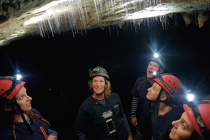 Private Waitomo Glowworm Cave Tours - Inside the Cave: Glowworms Plus Real Caving Work