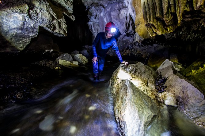 Private Waitomo Glowworm Cave Tours - Who Should Book This Tour, and Who Should Rethink It