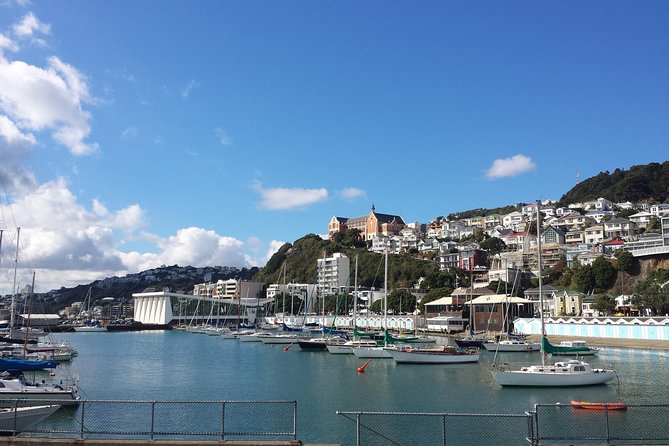 Private Wellington Full Day Sightseeing Tour - Parliament buildings, the Beehive, and Old St Paul’s on one smooth loop