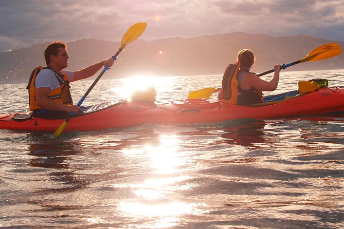 Private Wildlife Kayaking Tour - Kaikoura - The 3-hour rhythm: paddling, wildlife searching, and a smooth return