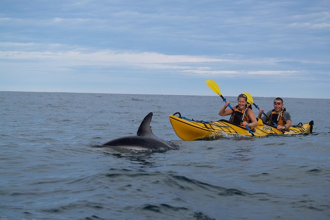 Private Wildlife Kayaking Tour - Kaikoura - Stop 1, Kaikoura Peninsula Walkway: a calm start to the adventure