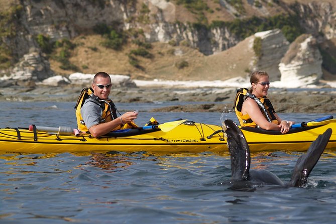 Private Wildlife Kayaking Tour - Kaikoura - Safety and comfort: what the included gear actually does for you