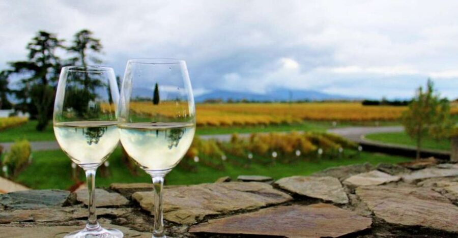 Progressive Wine & Gourmet Trail from Blenheim or Picton - The 6-Hour Flow: Five Wine Stops, Five Food Moments, Plus Dessert