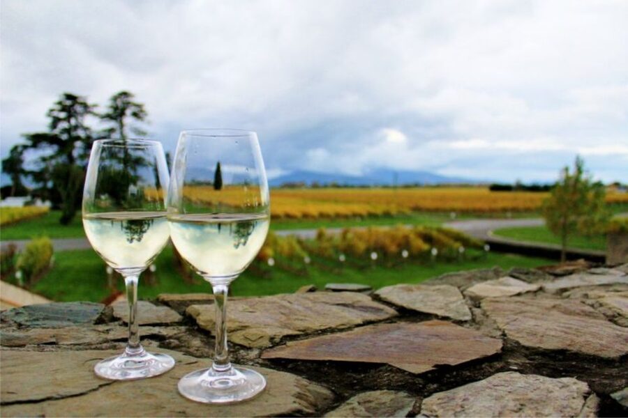 Progressive Wine & Gourmet Trail from Blenheim or Picton - Price and Value: What $466 Buys in Practical Terms