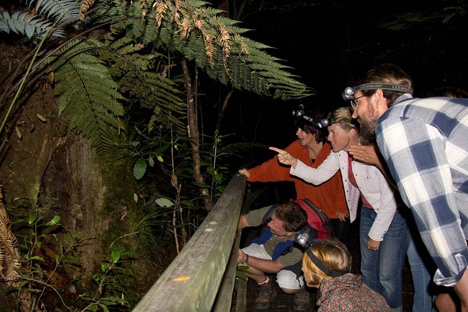 Puketi Rainforest Guided Walks .This is not a Shore Excursion product . - Key things to know before you go