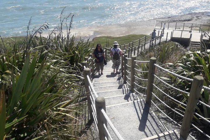 Punakaiki Blow Holes & Pancake Rocks Scenic Tour - Pancake Rocks and Blowholes walk: boardwalks and tide reality