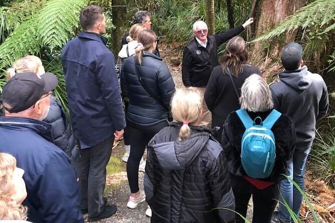Punakaiki Blow Holes & Pancake Rocks Scenic Tour - Who should book this Punakaiki tour (and who should reconsider)