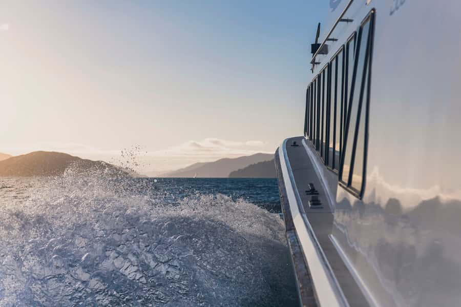 Queen Charlotte Sound Cruise with Lunch - After lunch: a short walk, then time to breathe before the 3pm jetty pickup