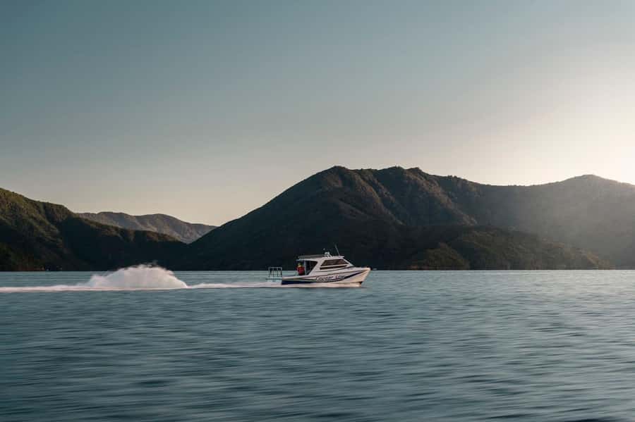 Queen Charlotte Sound Cruise with Lunch - The morning ride: sailing through Queen Charlotte Sound toward lunch at Endeavour Inlet