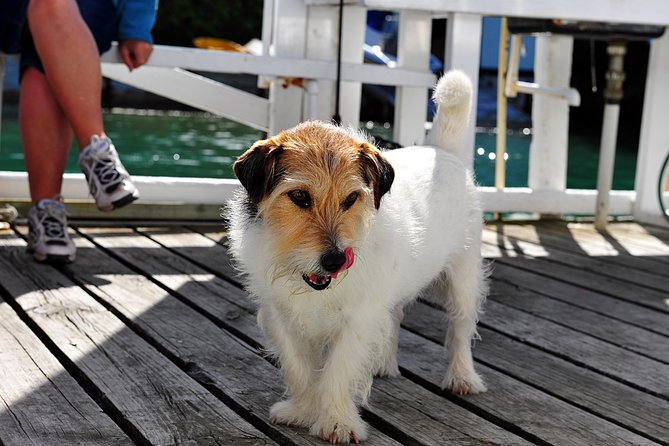 Queen Charlotte Sound Mail Boat Cruise - Food and drinks: how to plan for your comfort