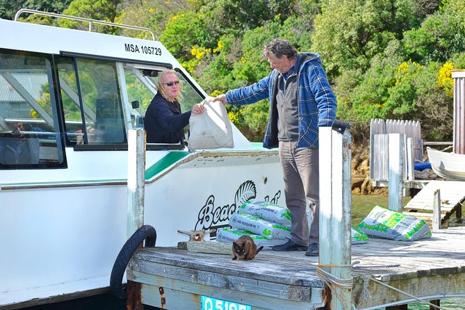 Queen Charlotte Sound Mail Boat Cruise - Wildlife, native flora, and what to ask your skipper