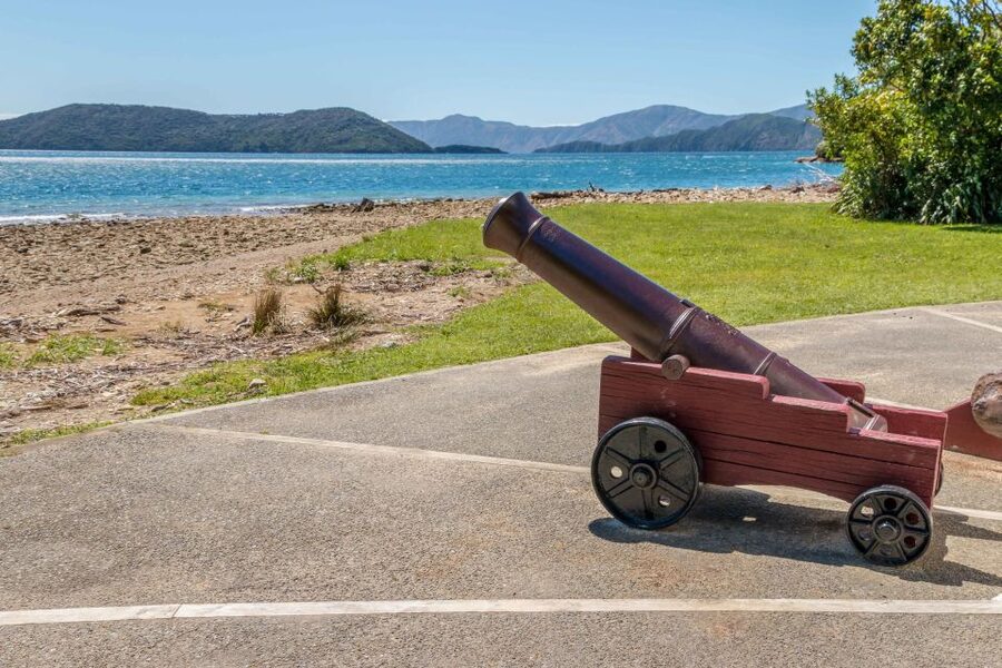 Queen Charlotte Track: Cruise & Self-Guided Hike from Picton - The Queen Charlotte Track on foot: what the trail feels like