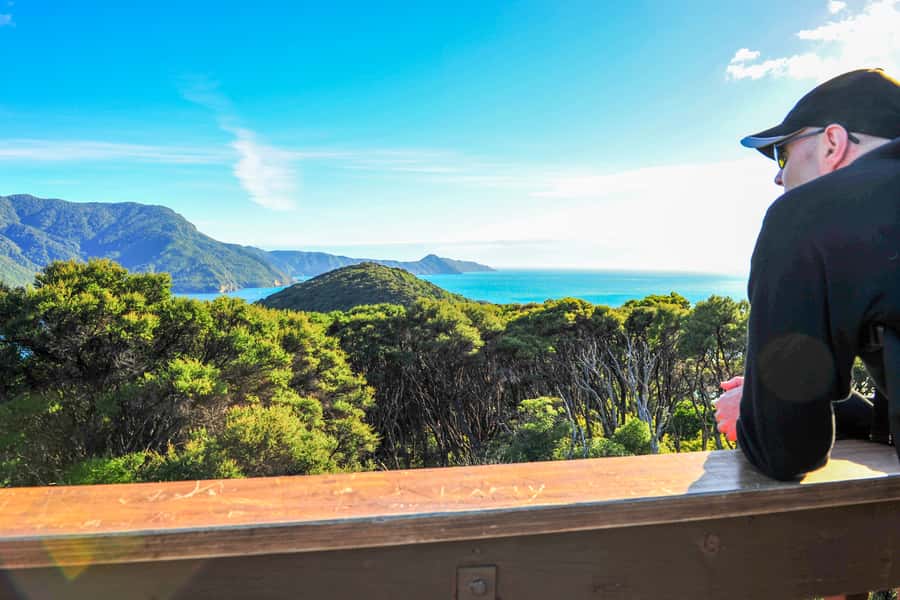 Queen Charlotte Track: Cruise & Self-Guided Hike from Picton - Timing, pacing, and why the boat matters more than you think