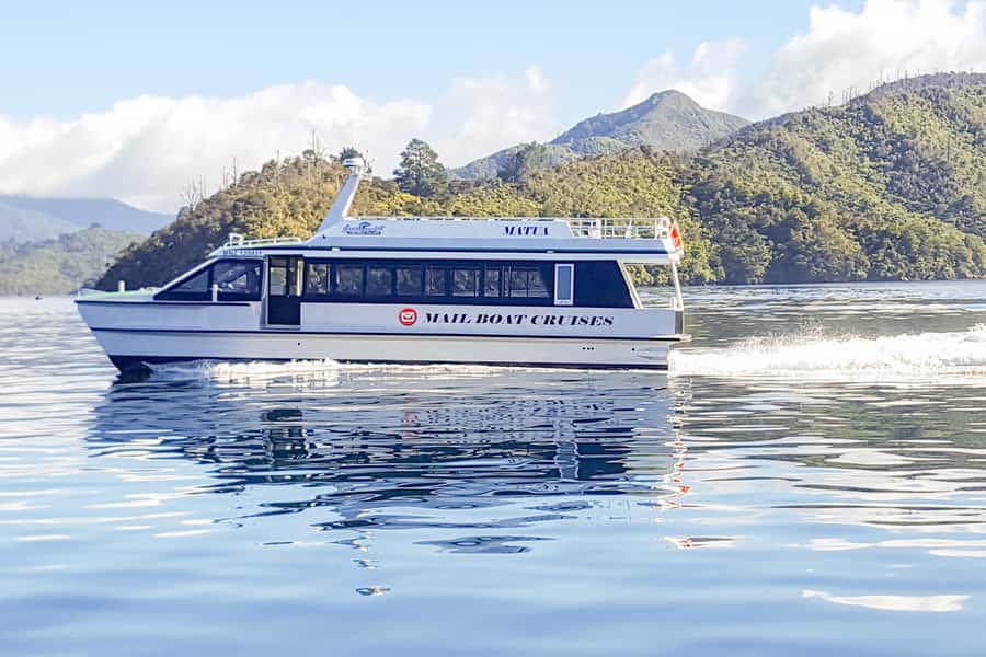 Queen Charlotte Track: Cruise & Self-Guided Hike from Picton - What to bring for Marlborough Sounds weather and rocky track sections