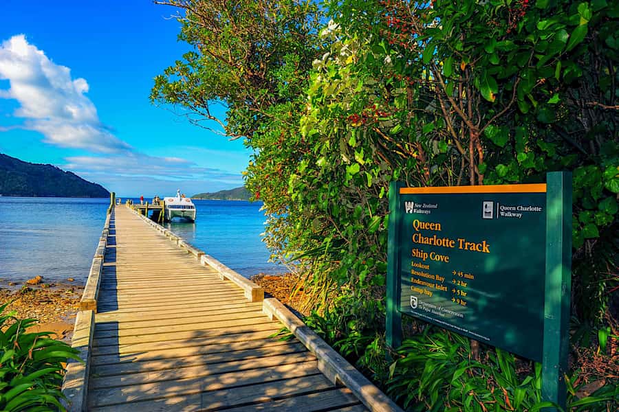Queen Charlotte Track: Cruise & Self-Guided Hike from Picton - Wildlife spotting, skipper commentary, and a few names to watch for